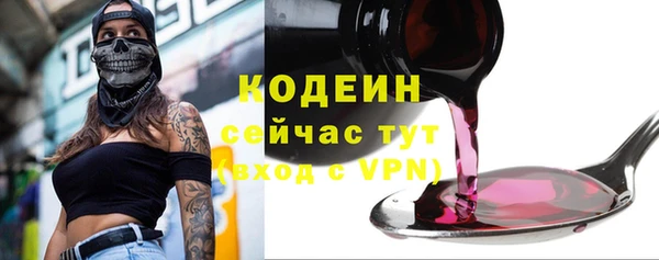 spice Ельня
