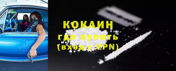 ECSTASY Елизово