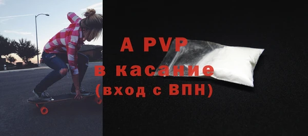 ECSTASY Елизово