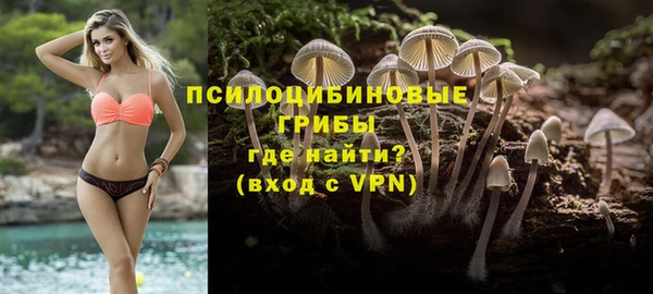 mdpv Елабуга