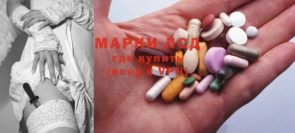 ECSTASY Елизово