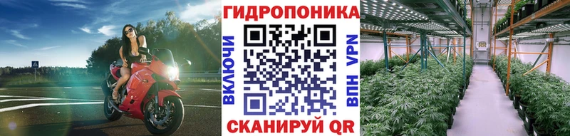 Купить закладки  Кстово  МАРИХУАНА план 